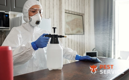 Дезинфекция в Ревде