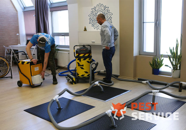 Профессиональная сушка после потопа в Ревде от 3000 руб. Быстро устраняем влагу, предотвращаем плесень и повреждения. Современное оборудование и опытные специалисты. Безопасно и эффективно.